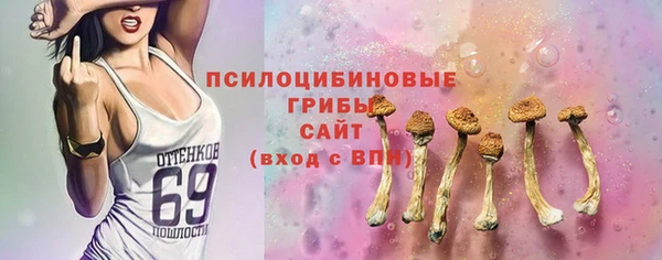 мет Болотное
