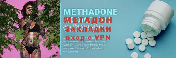 гашик Алексин