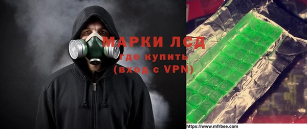 ГАЛЛЮЦИНОГЕННЫЕ ГРИБЫ Абаза