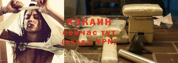 гашик Покачи